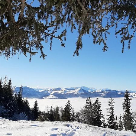 Ferienwohnung Floriani Sankt Wolfgang im Salzkammergut ภายนอก รูปภาพ